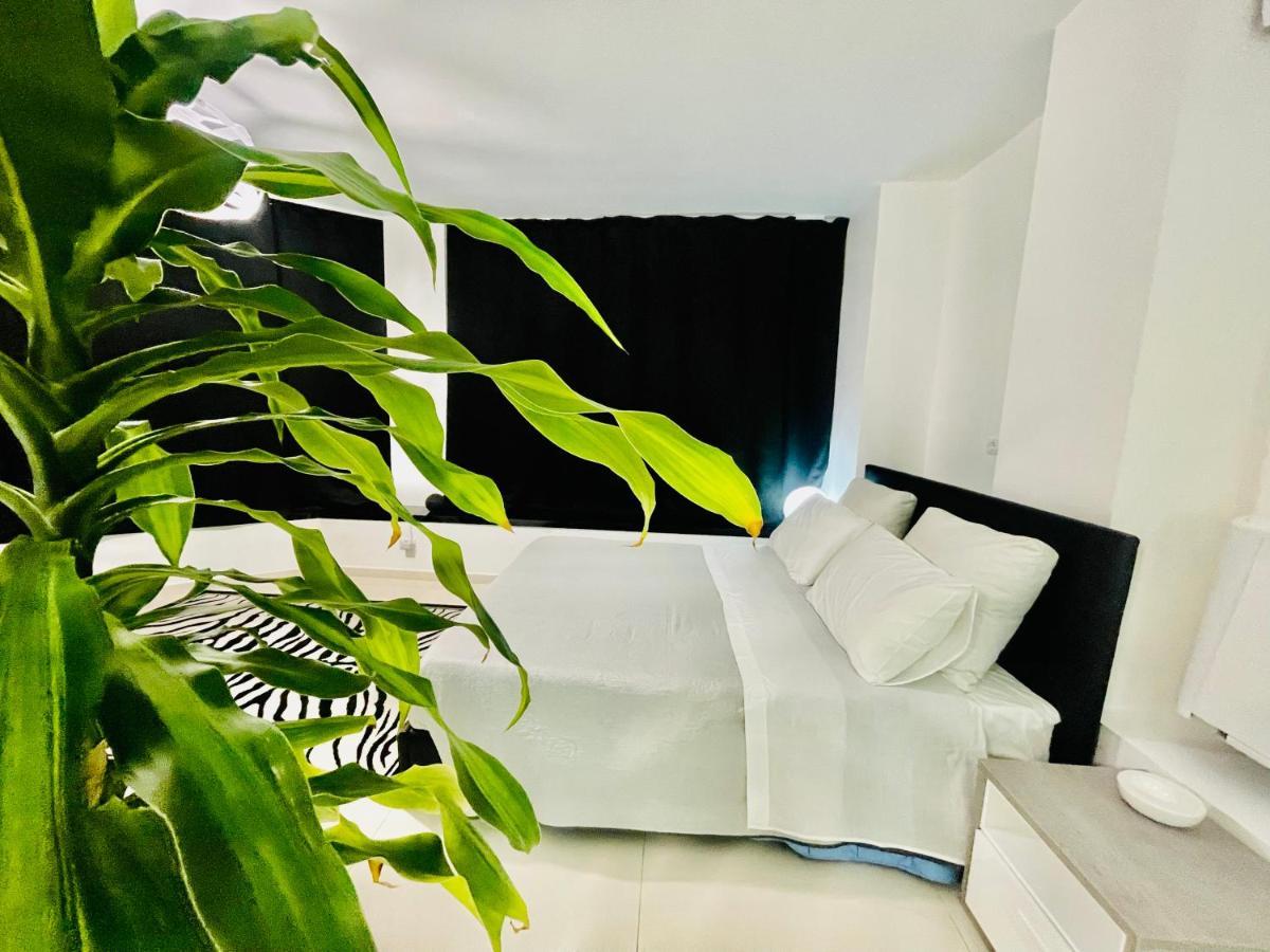 Loft Terracinaヴィラ エクステリア 写真